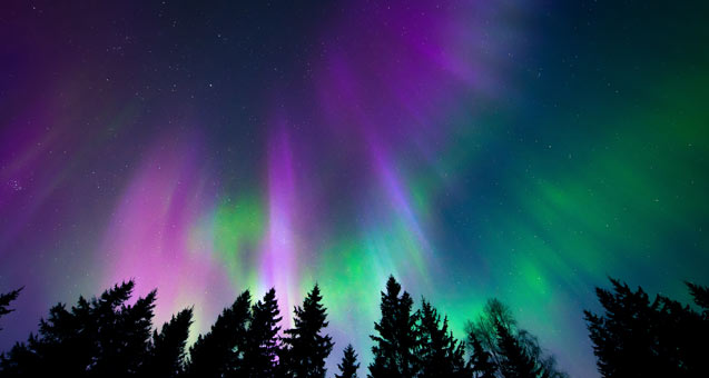 Winter night display of the Aurora Borealis or Northern Lights