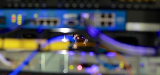 Network technician peers through a colorfully-lit server rack