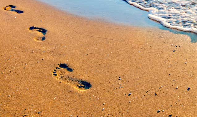 Nomadic footprints wander the sand near tide line